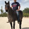 rydog0411